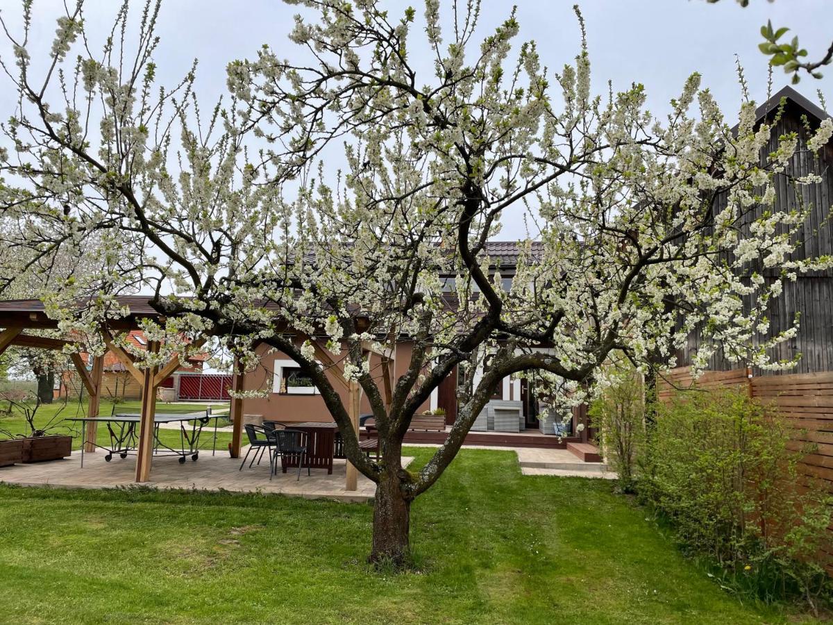 Apartmany U Lipy Tatobity Exterior photo